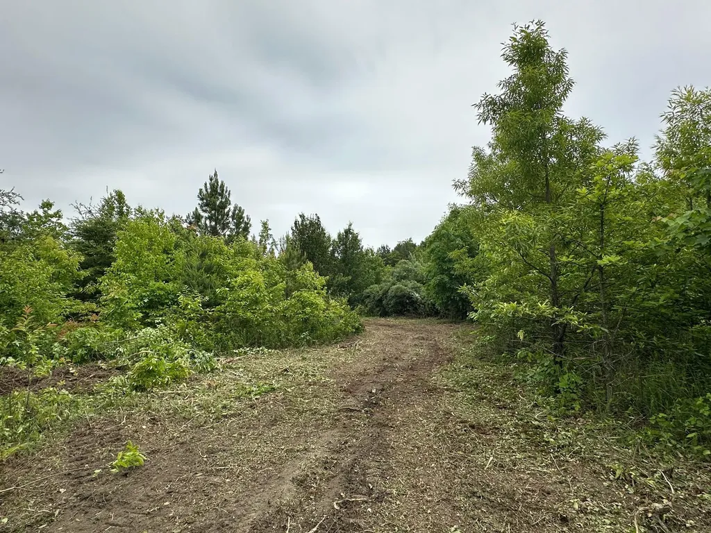 150 Sycamore Creek Road Van Lear KY 41265