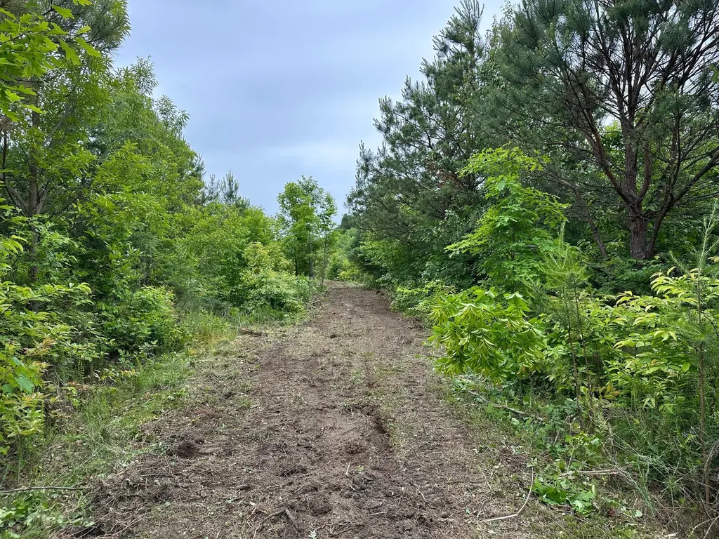 150 Sycamore Creek Road Van Lear KY 41265