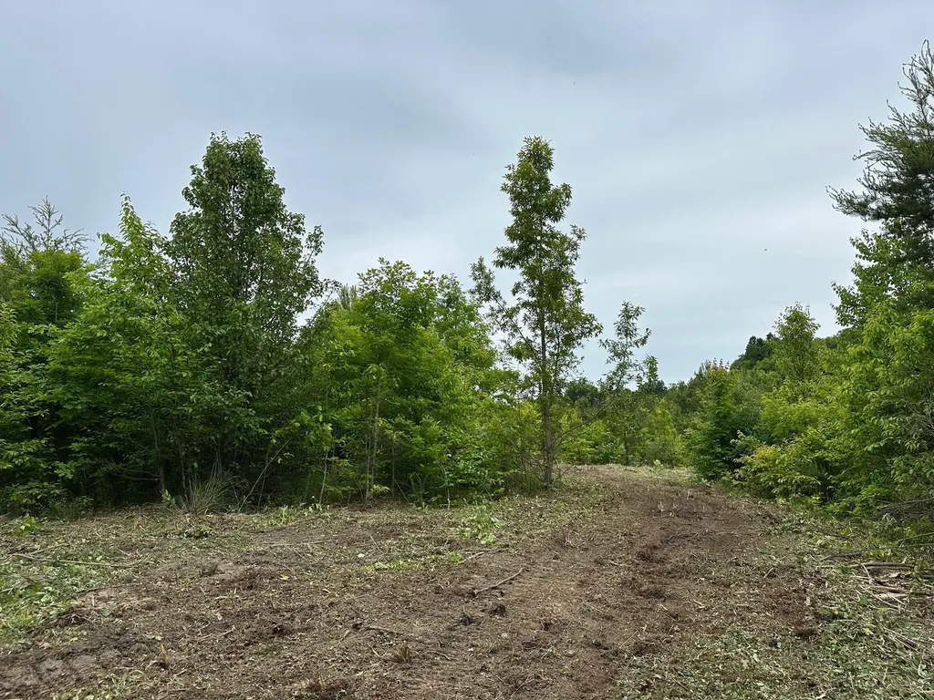 150 Sycamore Creek Road Van Lear KY 41265