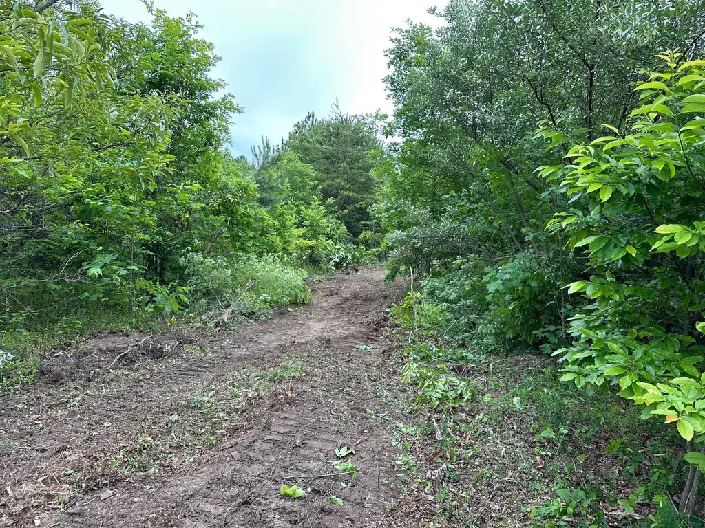 150 Sycamore Creek Road Van Lear KY 41265