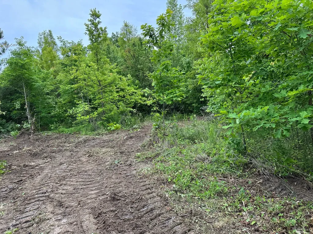 150 Sycamore Creek Road Van Lear KY 41265