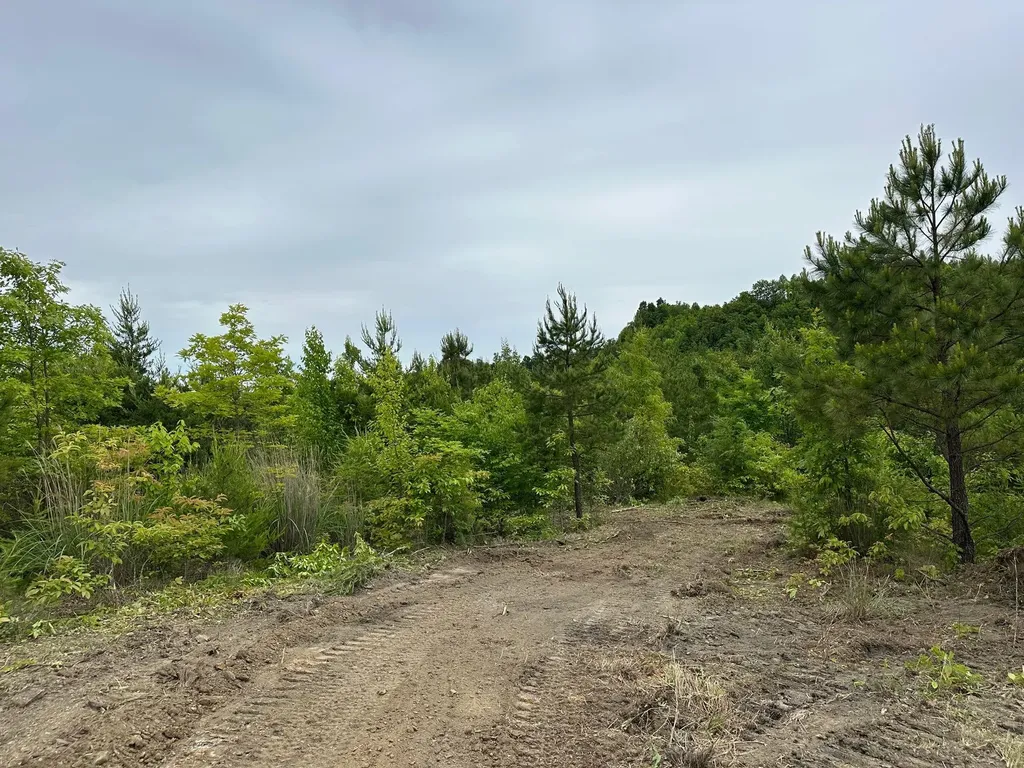 150 Sycamore Creek Road Van Lear KY 41265
