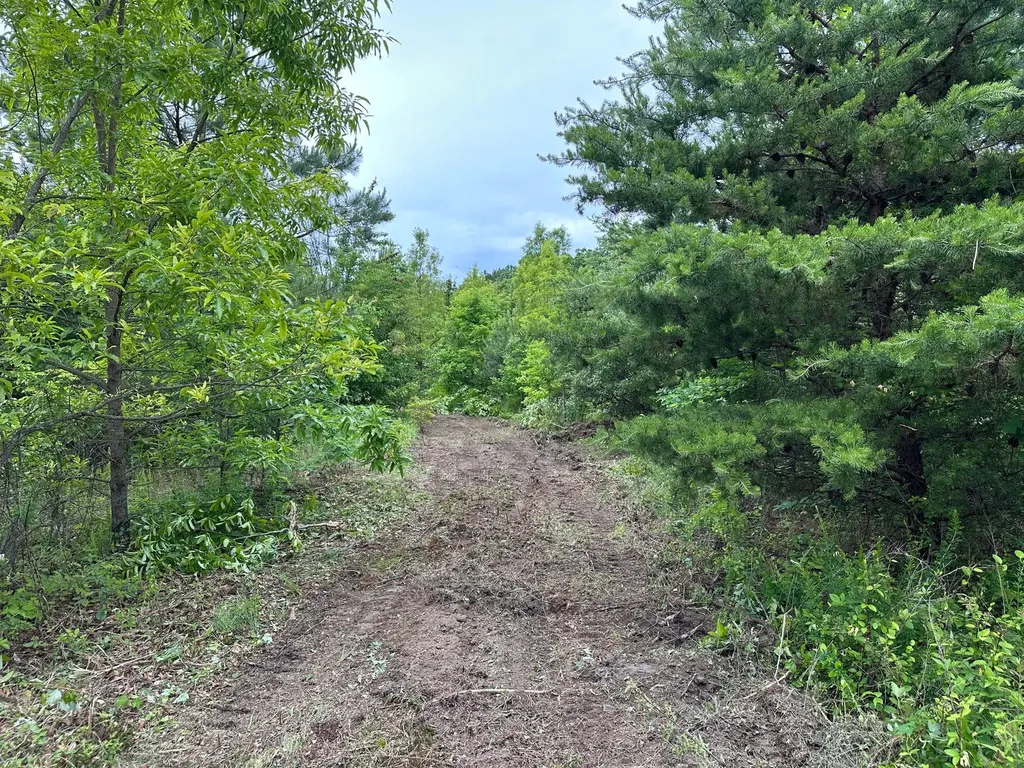 150 Sycamore Creek Road Van Lear KY 41265