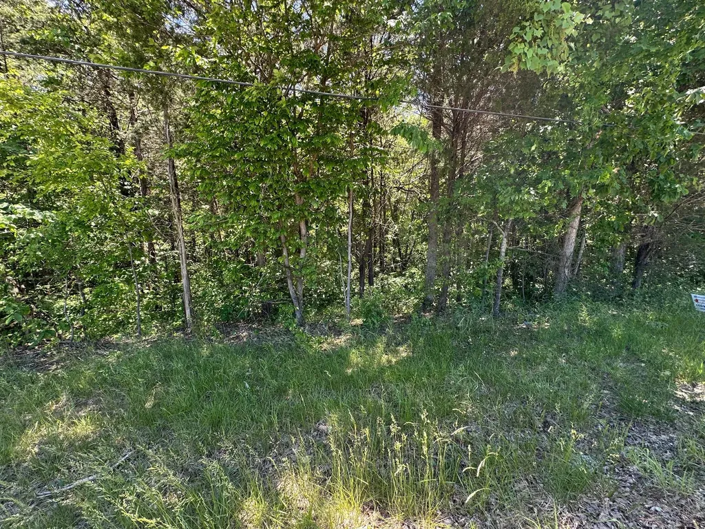 150 Sycamore Creek Road Van Lear KY 41265
