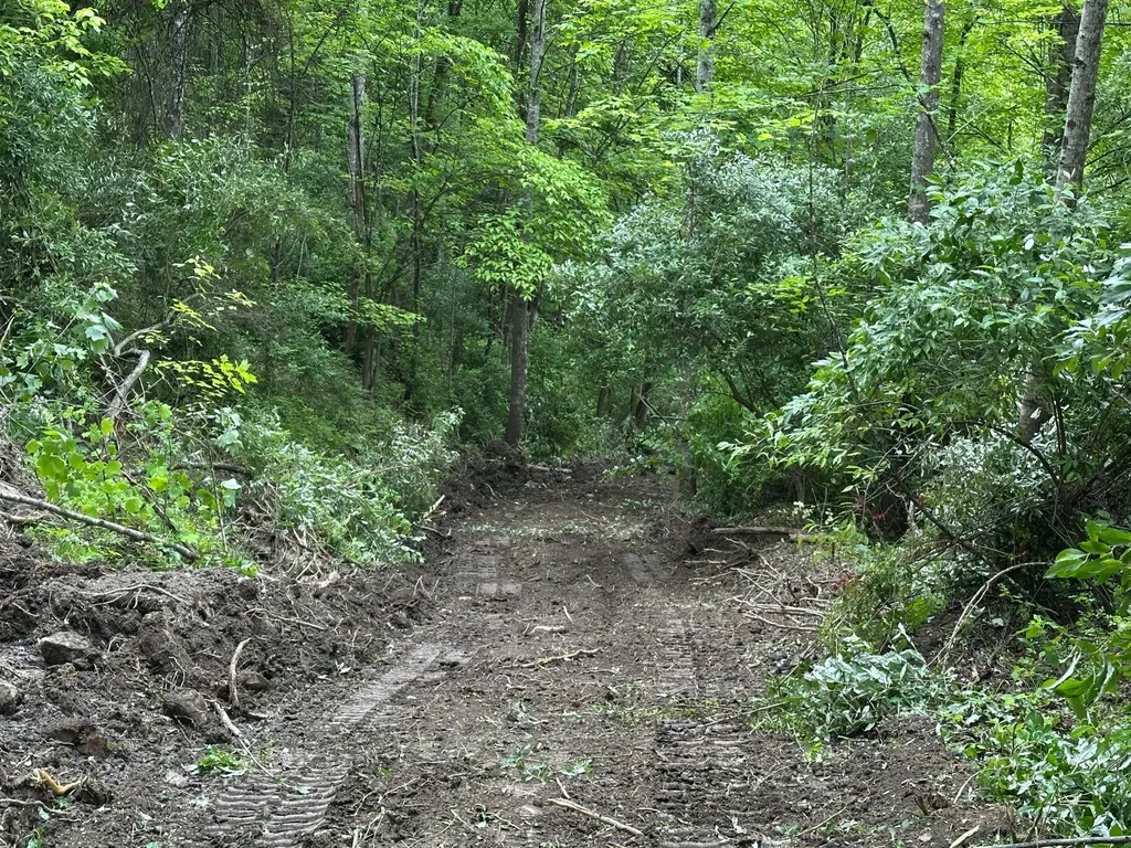 150 Sycamore Creek Road Van Lear KY 41265