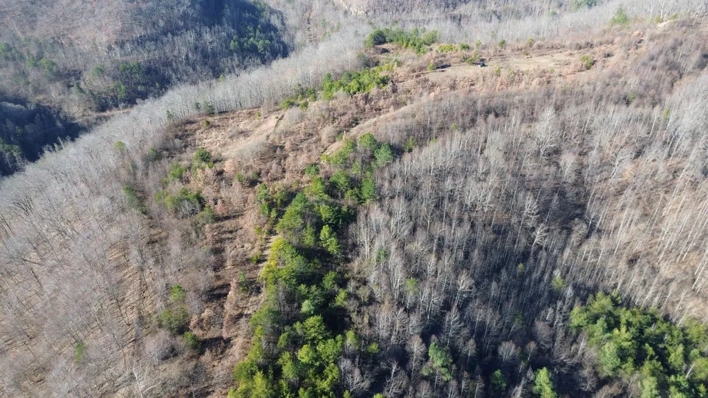 150 Sycamore Creek Road Van Lear KY 41265