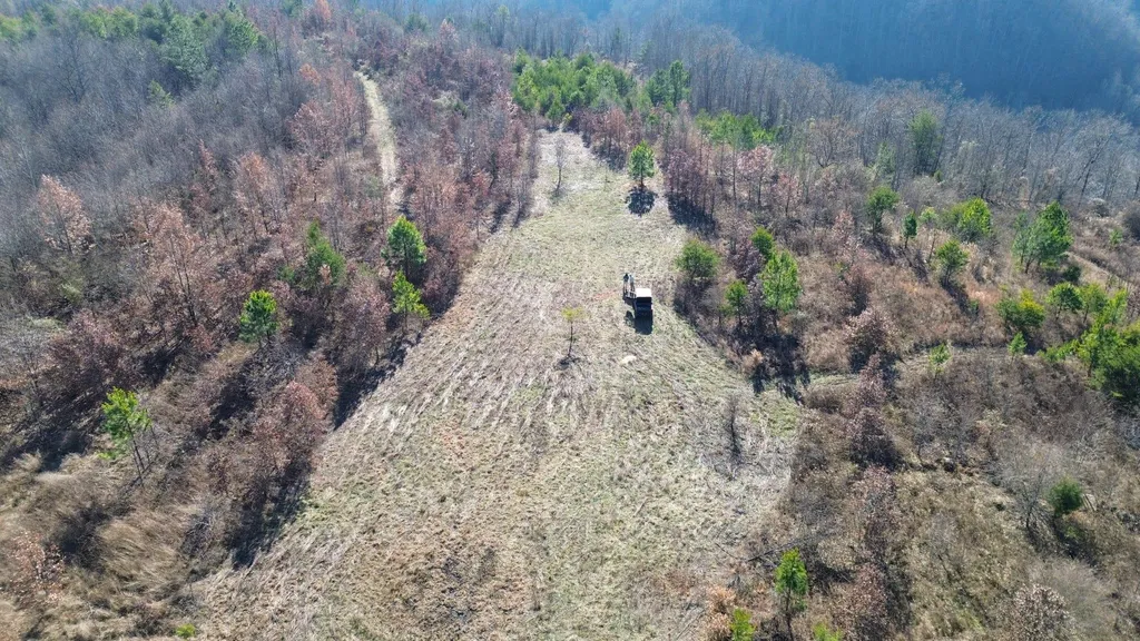 150 Sycamore Creek Road Van Lear KY 41265