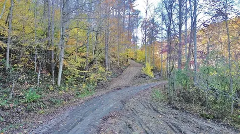 150 Sycamore Creek Road Van Lear KY 41265
