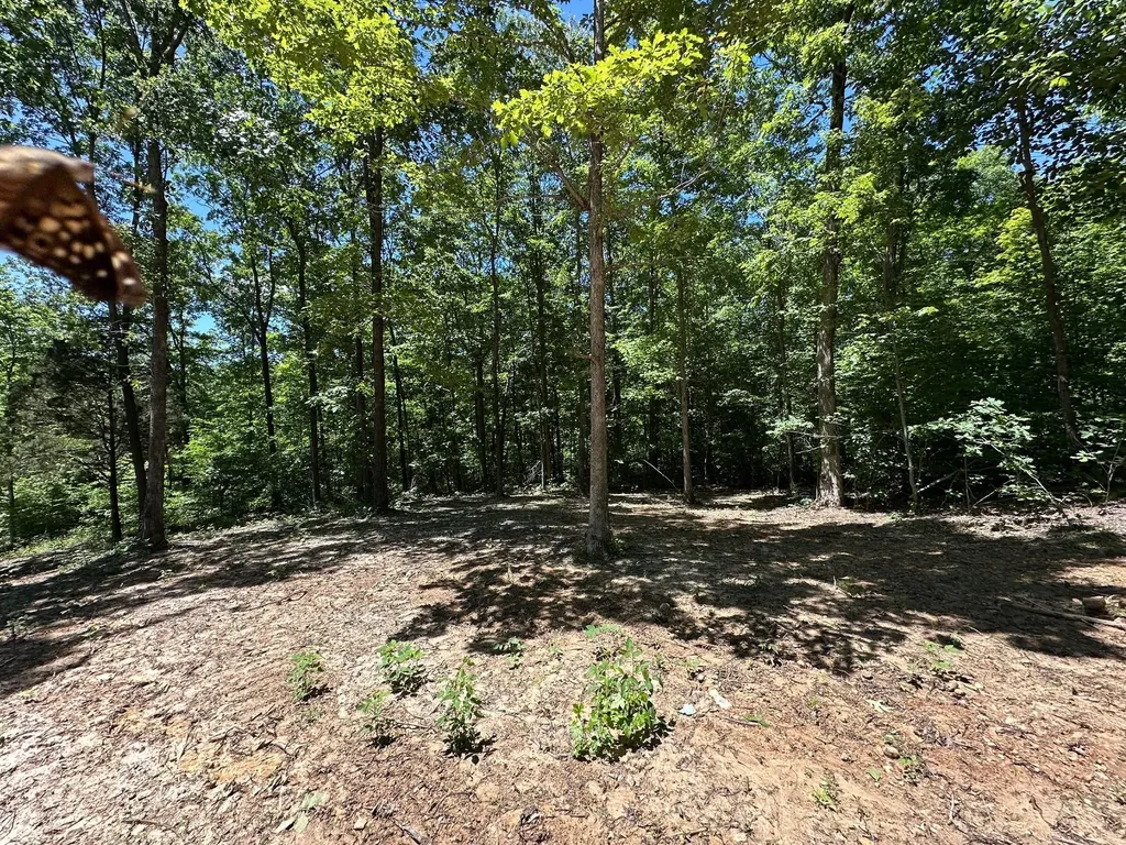 10 Riverside Benleo Road Bowling Green KY 42101