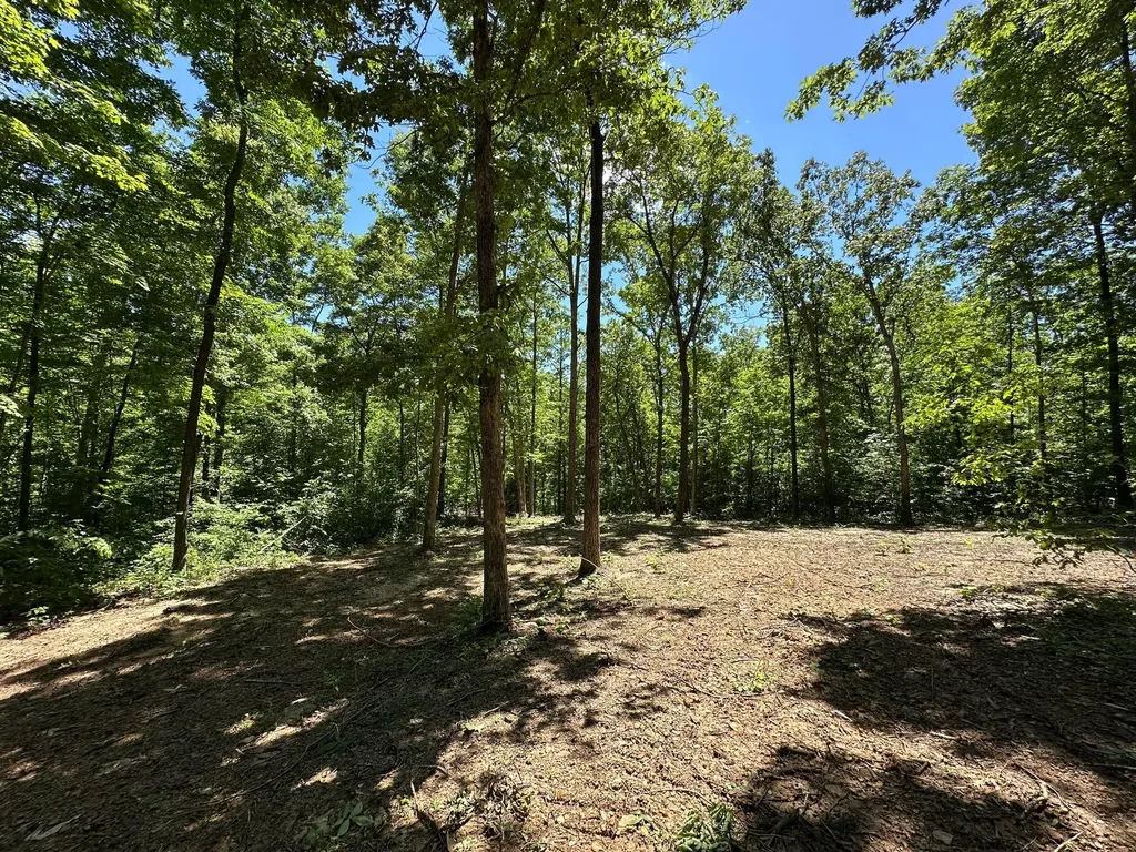 10 Riverside Benleo Road Bowling Green KY 42101