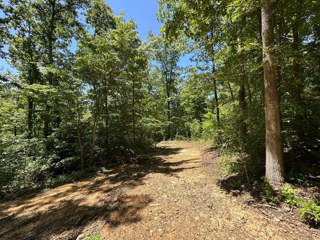 10 Riverside Benleo Road Bowling Green KY 42101
