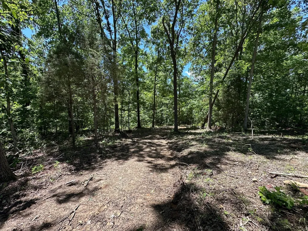 10 Riverside Benleo Road Bowling Green KY 42101