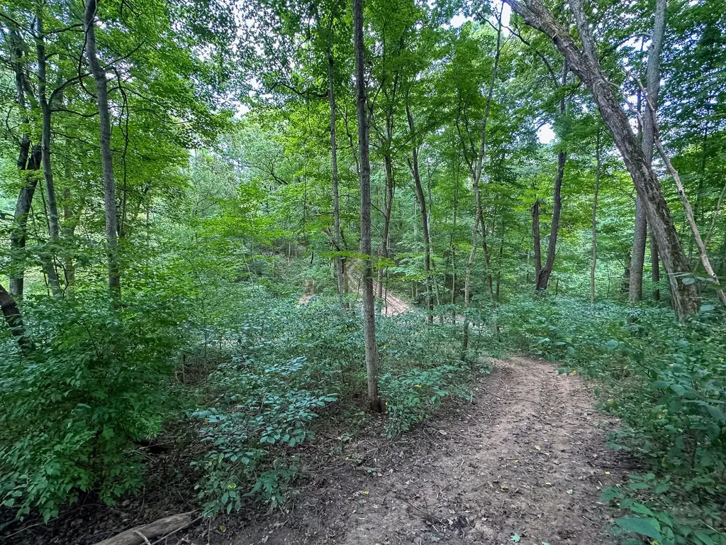 0 Goose Creek Road Carlisle KY 40311