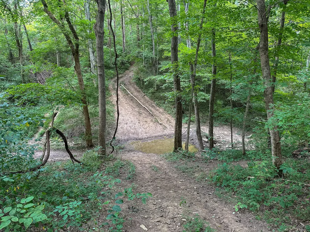 0 Goose Creek Road Carlisle KY 40311