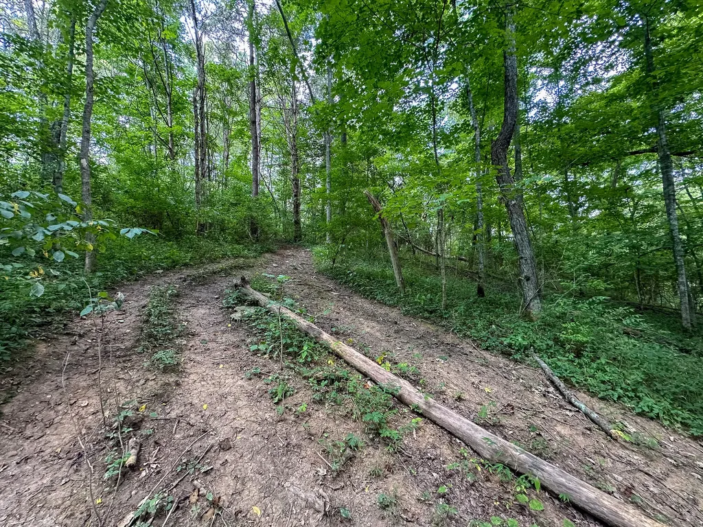 0 Goose Creek Road Carlisle KY 40311