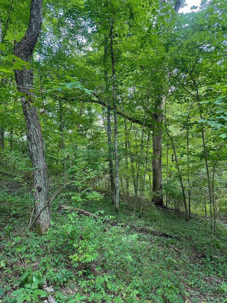 0 Goose Creek Road Carlisle KY 40311