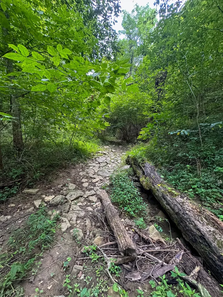 0 Goose Creek Road Carlisle KY 40311