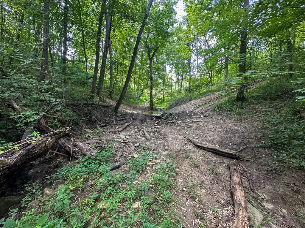 0 Goose Creek Road Carlisle KY 40311