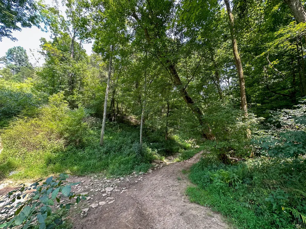 0 Goose Creek Road Carlisle KY 40311