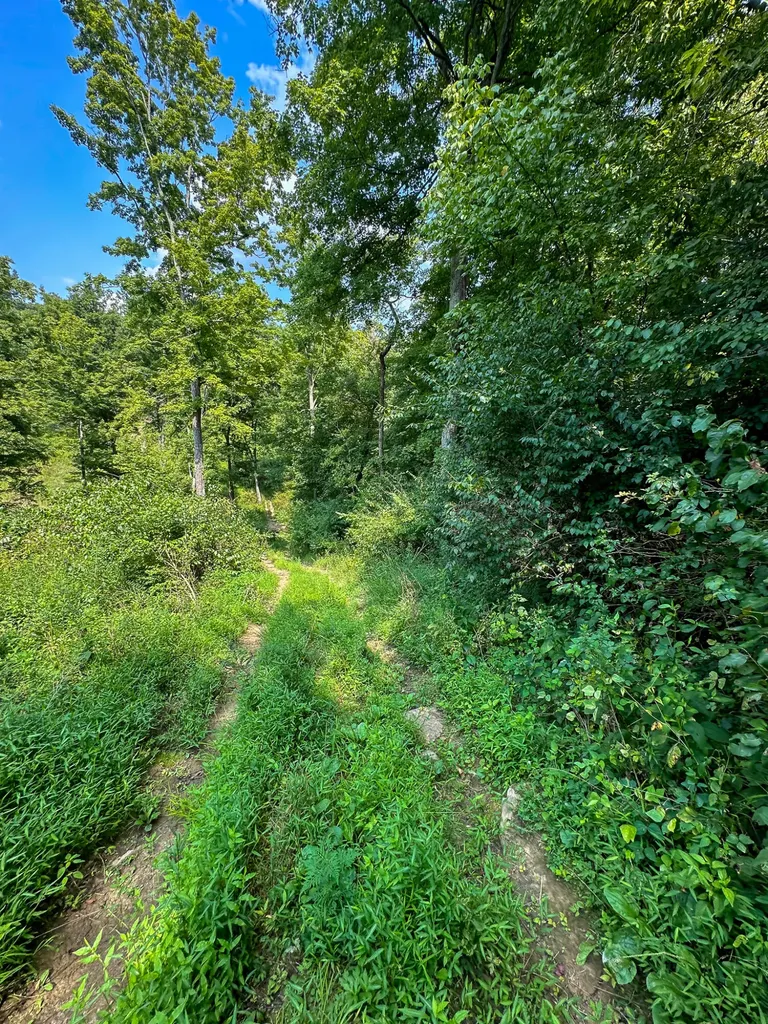 0 Goose Creek Road Carlisle KY 40311