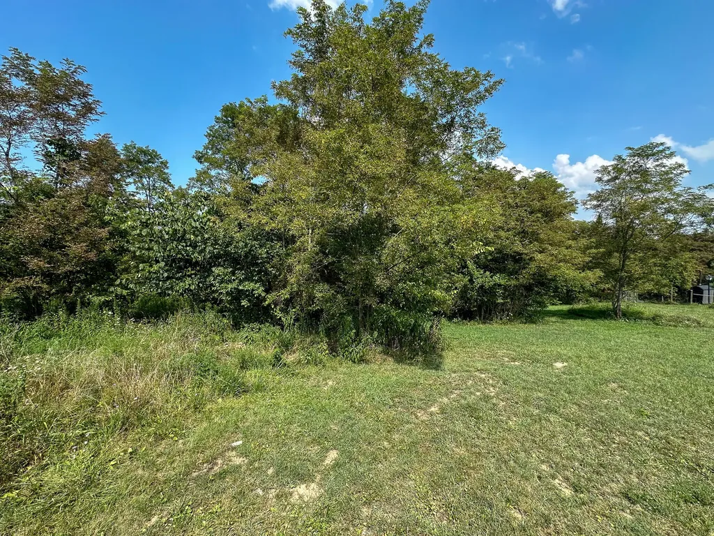 0 Goose Creek Road Carlisle KY 40311
