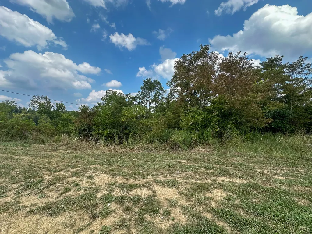 0 Goose Creek Road Carlisle KY 40311
