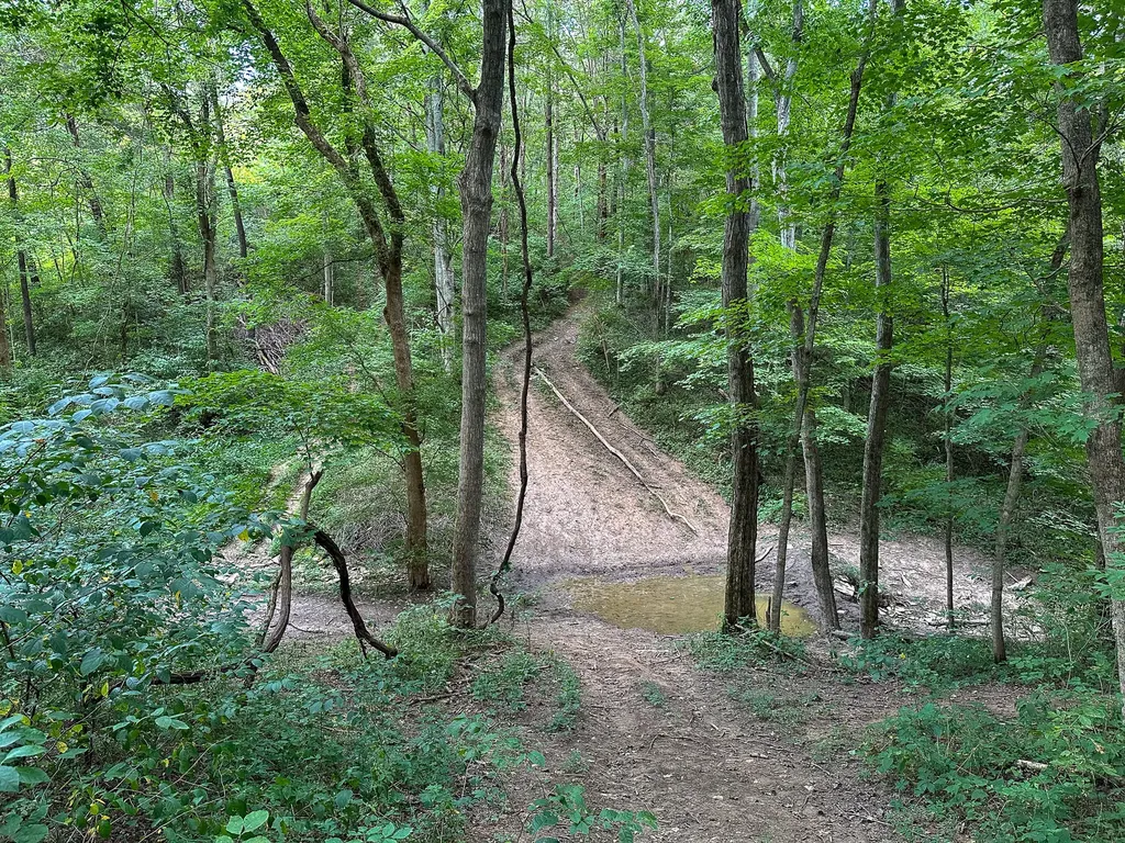 0 Goose Creek Road Carlisle KY 40311