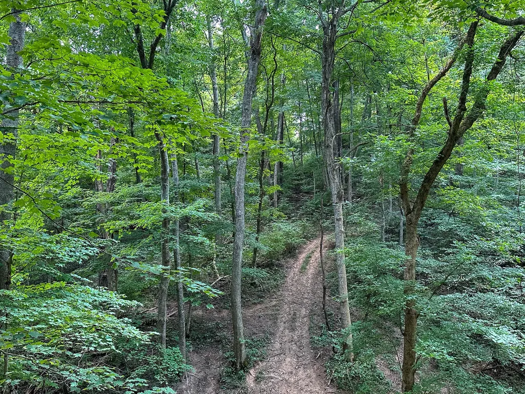 0 Goose Creek Road Carlisle KY 40311