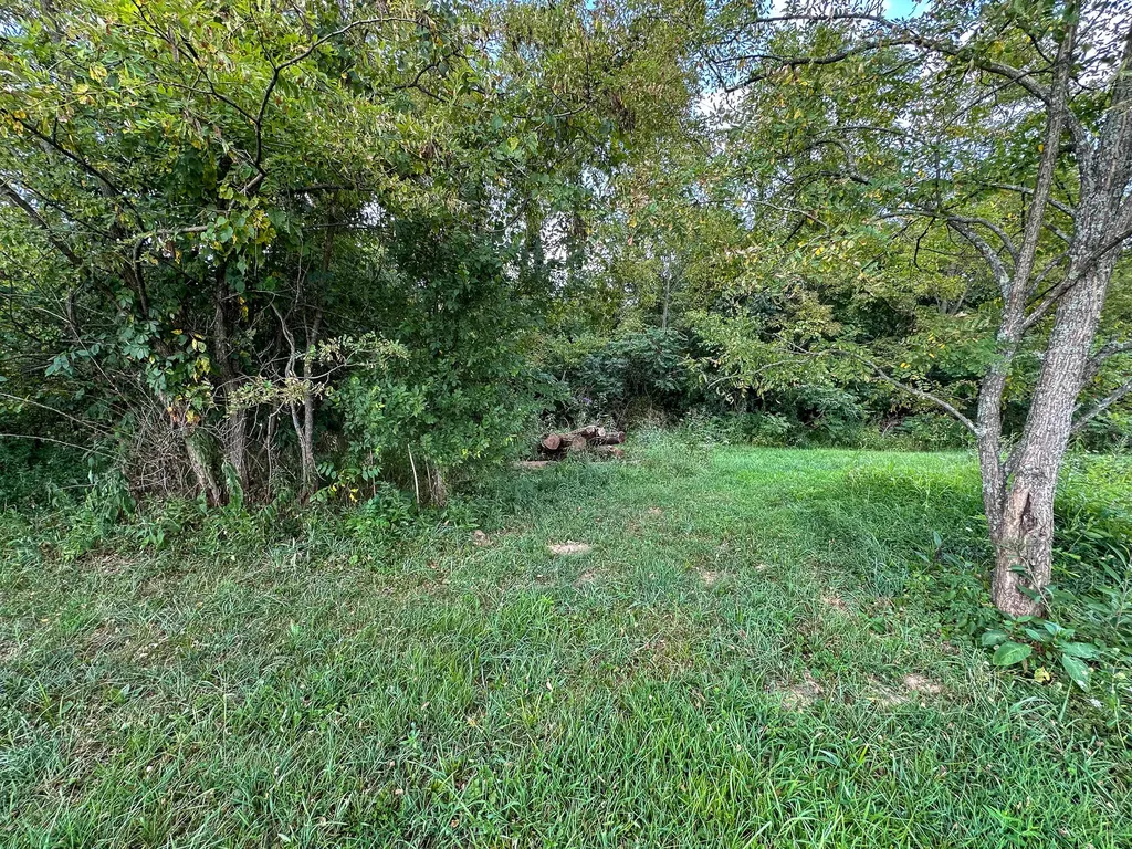 0 Goose Creek Road Carlisle KY 40311