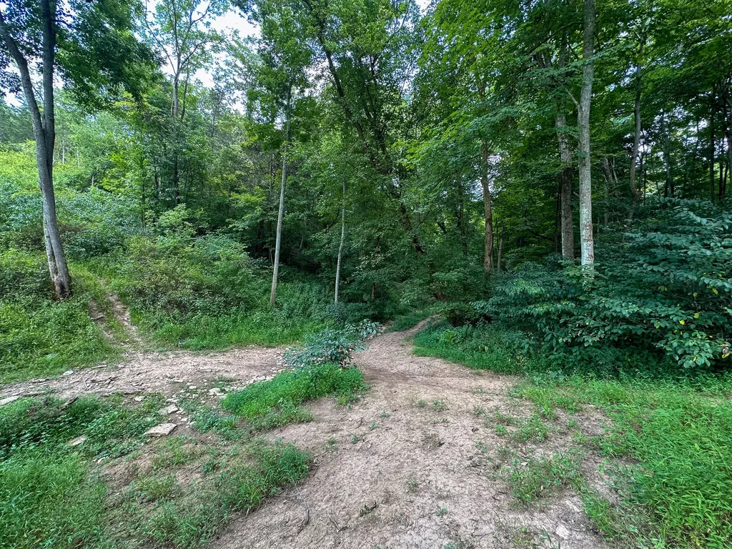 0 Goose Creek Road Carlisle KY 40311