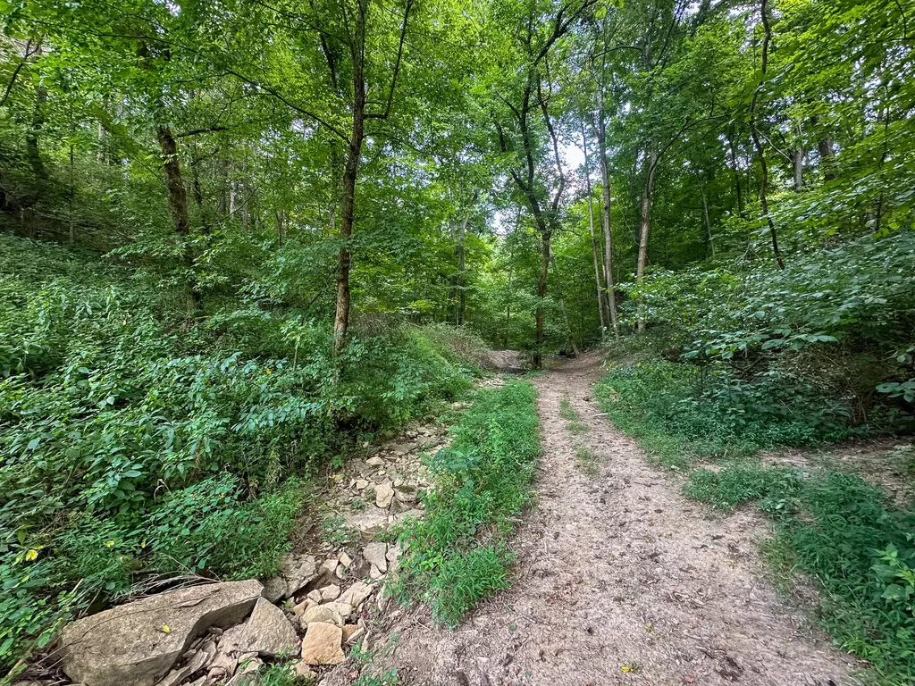 0 Goose Creek Road Carlisle KY 40311