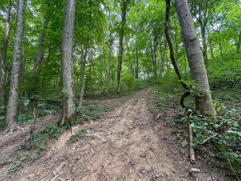 0 Goose Creek Road Carlisle KY 40311