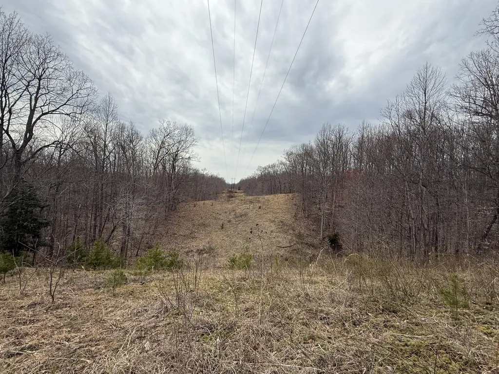 0 Morehead Road Hillsboro KY 41049