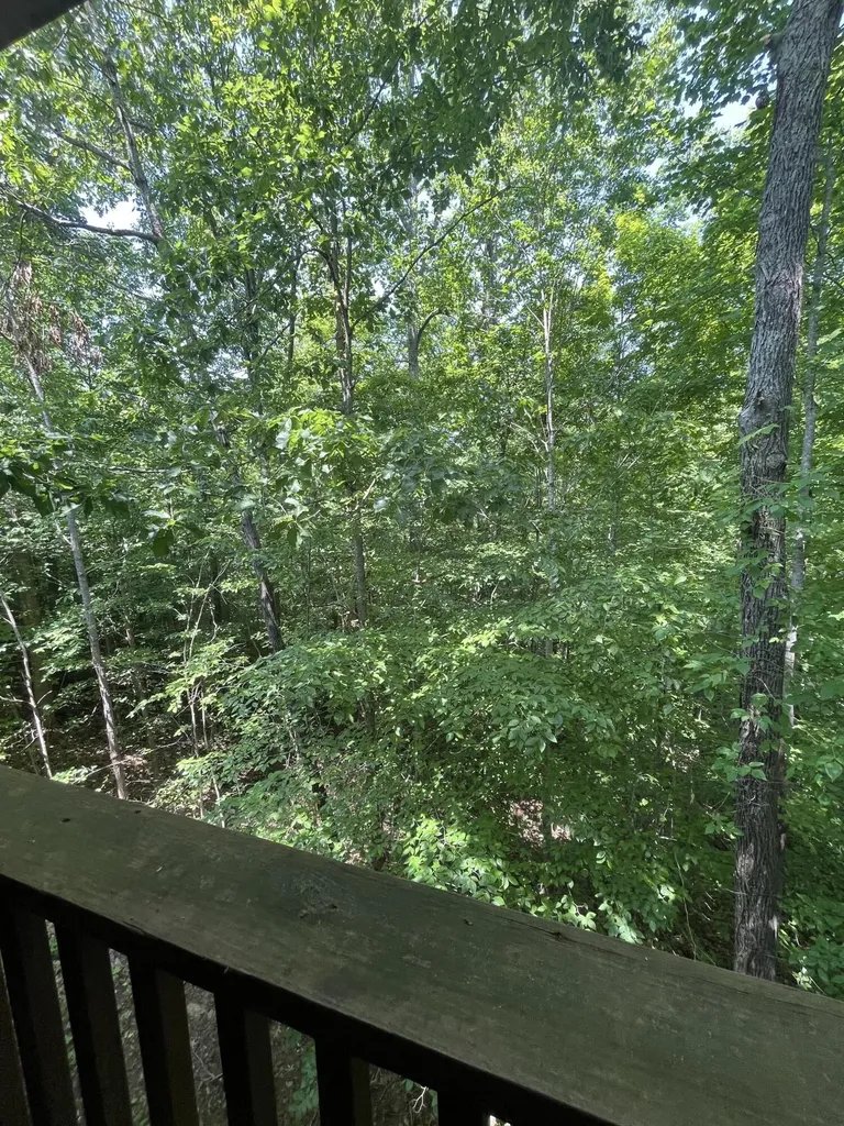 145 State Park Road Jamestown KY 42629