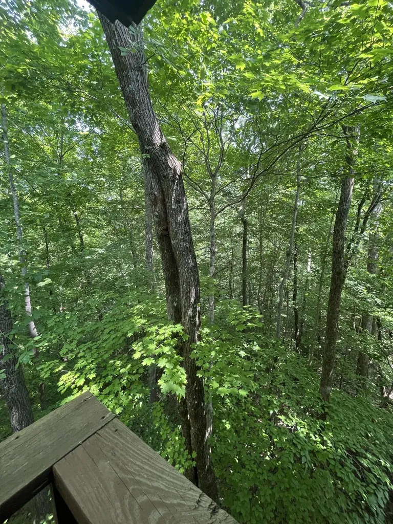 145 State Park Road Jamestown KY 42629
