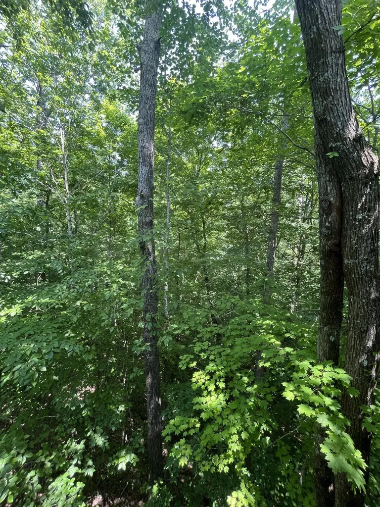 145 State Park Road Jamestown KY 42629
