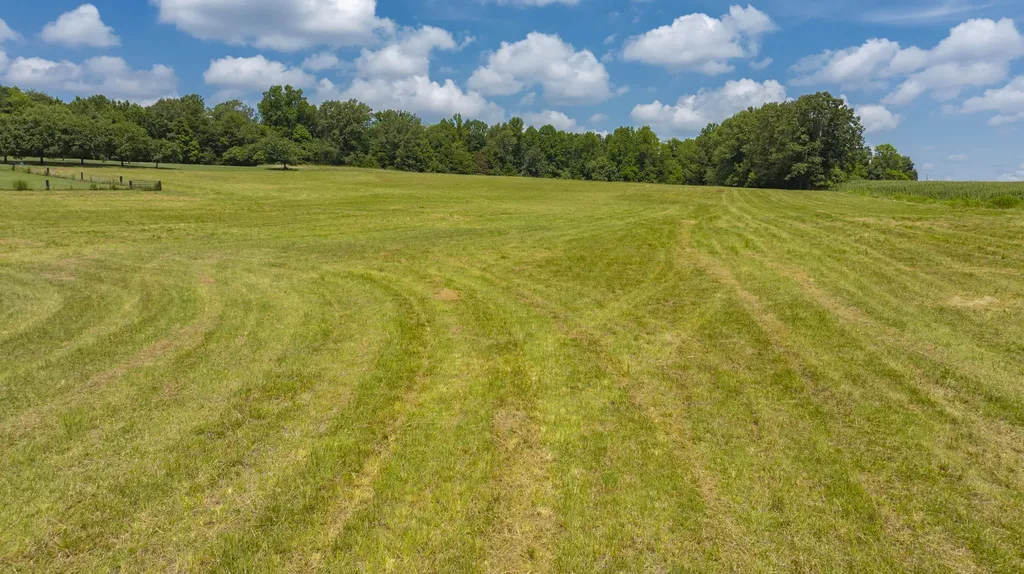 483 Buffalo Trace Road Monticello KY 42633