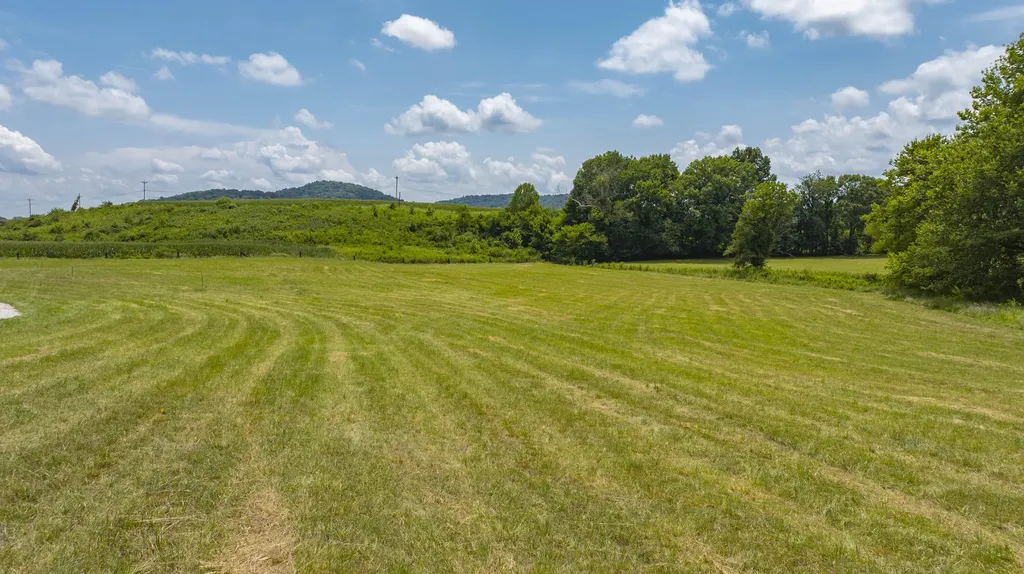 461 Buffalo Trace Road Monticello KY 42633