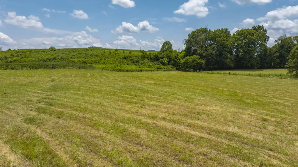 461 Buffalo Trace Road Monticello KY 42633