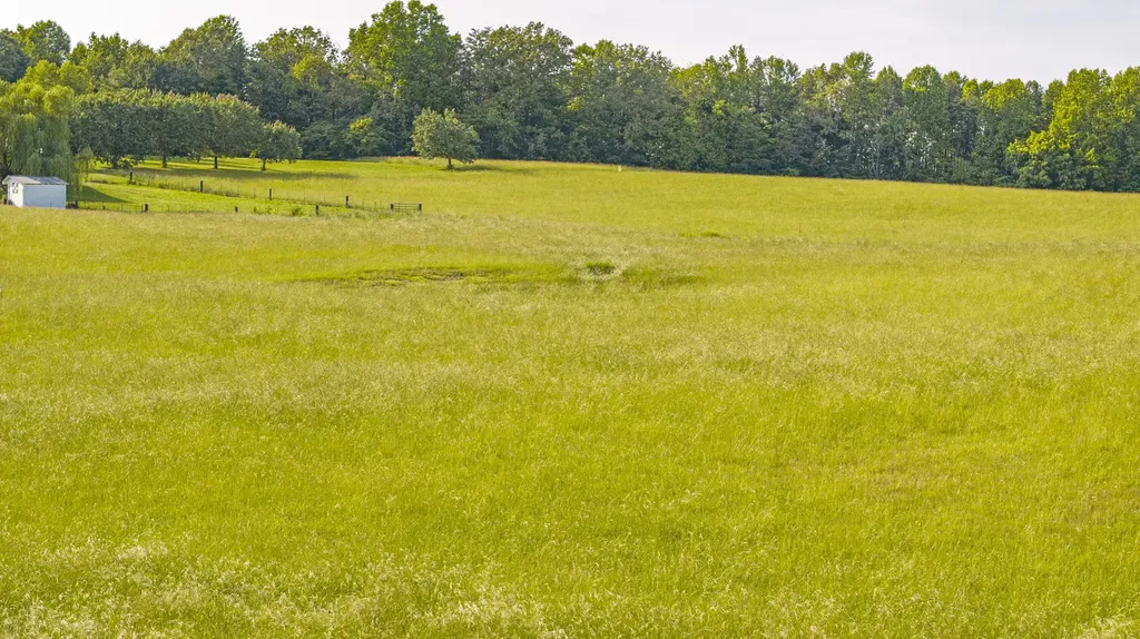 475 Buffalo Trace Road Monticello KY 42633