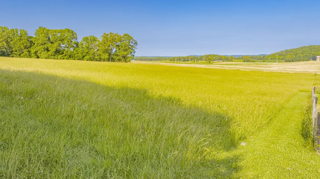 479 Buffalo Trace Road Monticello KY 42633