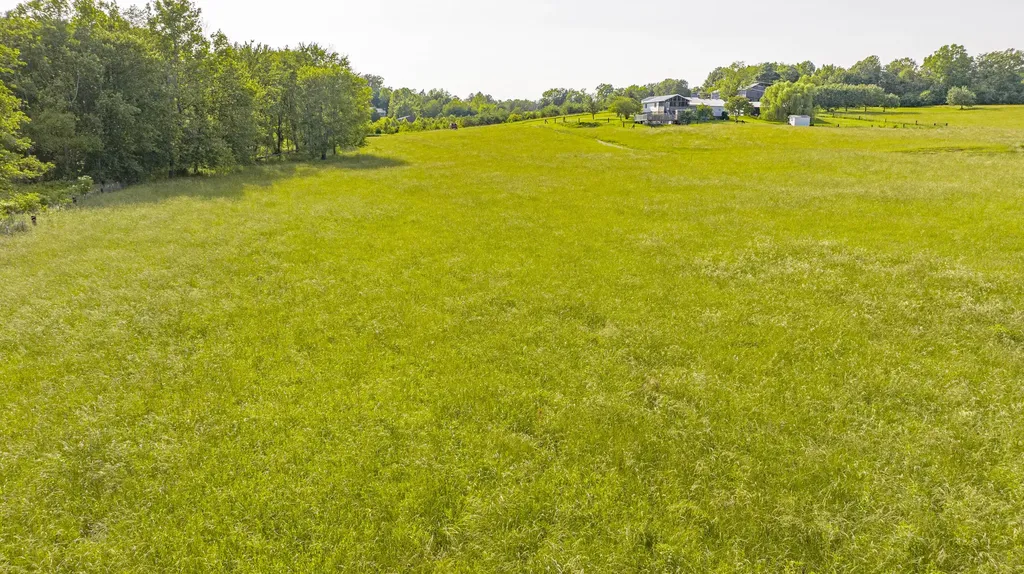 479 Buffalo Trace Road Monticello KY 42633