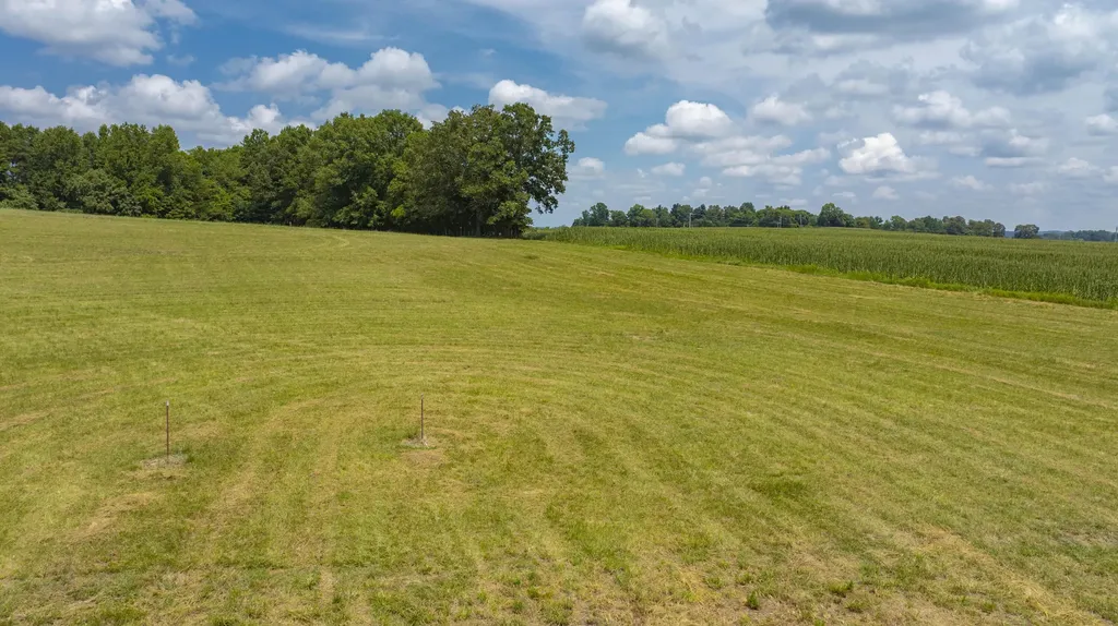 459 Buffalo Trace Road Monticello KY 42633