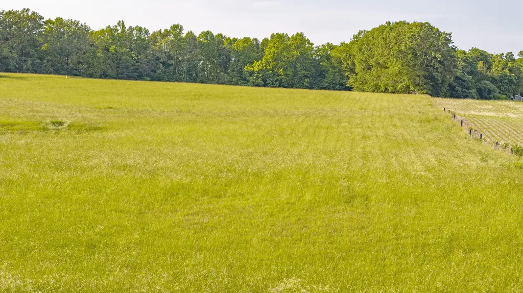 459 Buffalo Trace Road Monticello KY 42633