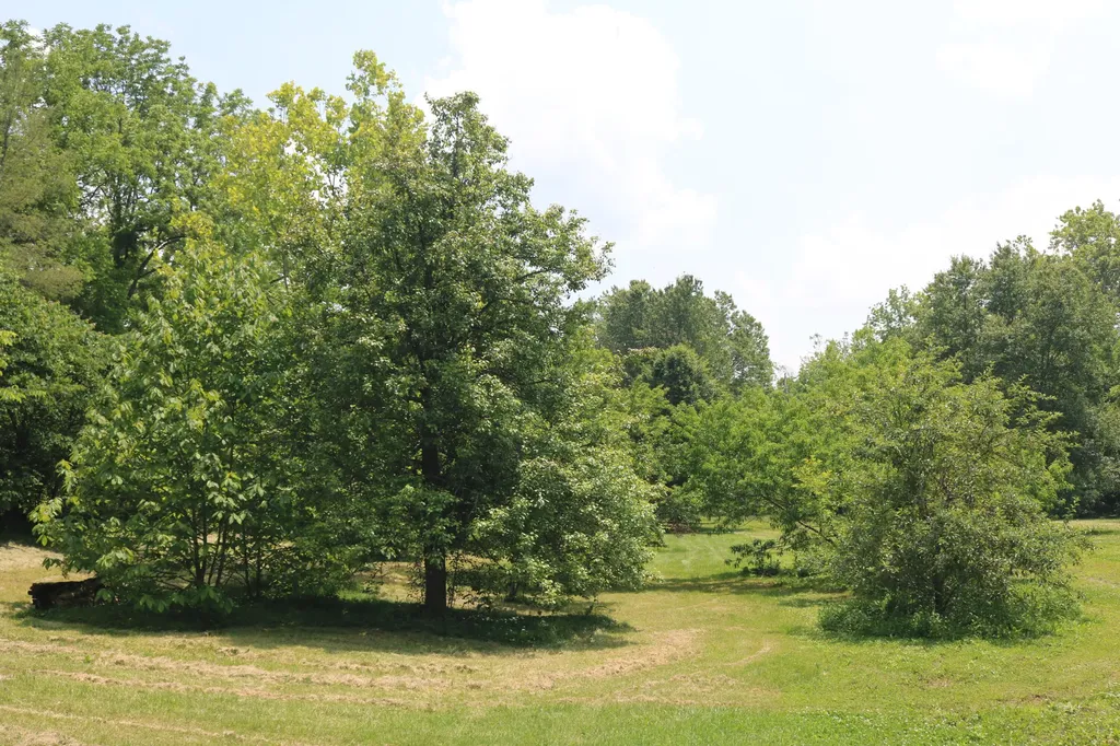 164 Oxbow Road Carlisle KY 40311