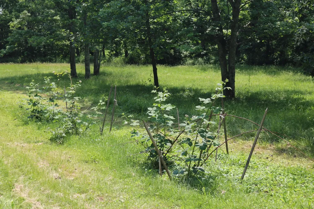 164 Oxbow Road Carlisle KY 40311