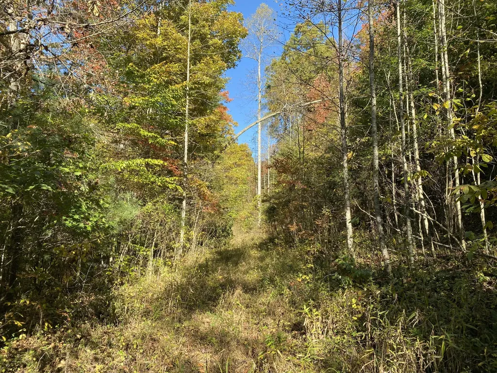 431 Harold Luke Road Campton KY 41301