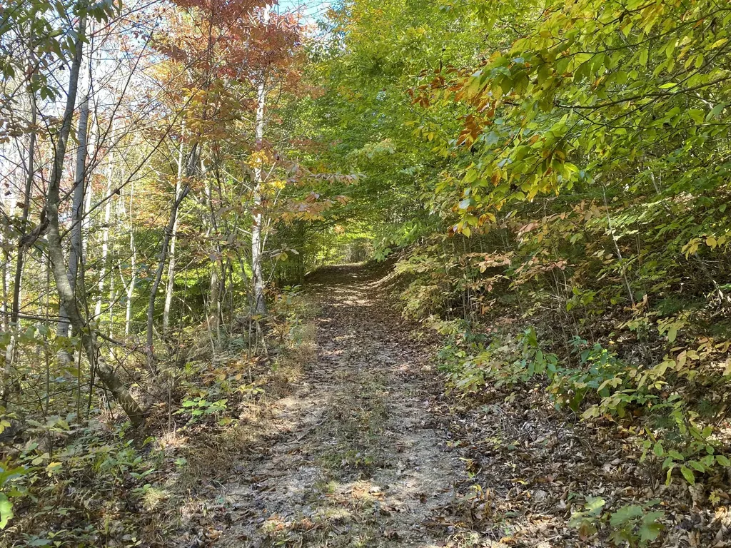 431 Harold Luke Road Campton KY 41301