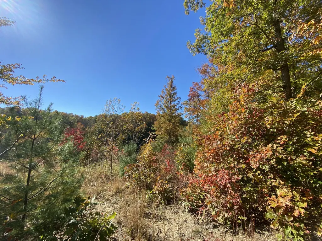 431 Harold Luke Road Campton KY 41301