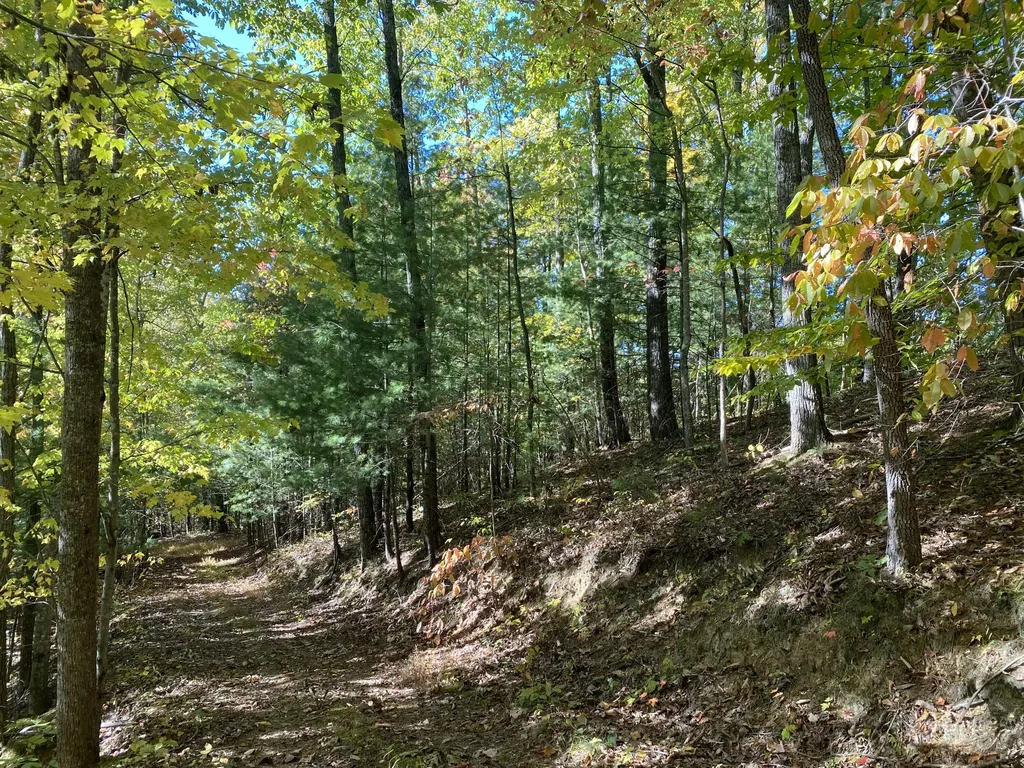 431 Harold Luke Road Campton KY 41301